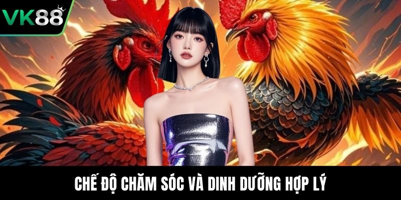 Chế độ chăm sóc và dinh dưỡng hợp lý