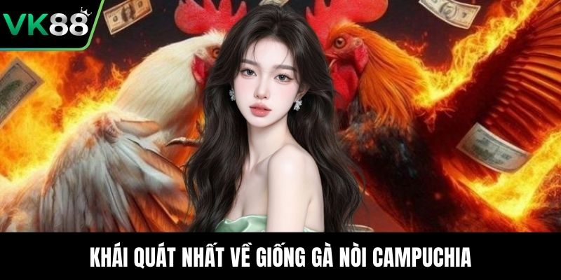 Khái quát nhất về giống gà nòi Campuchia