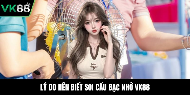 Lý do nên biết soi cầu bạc nhớ VK88