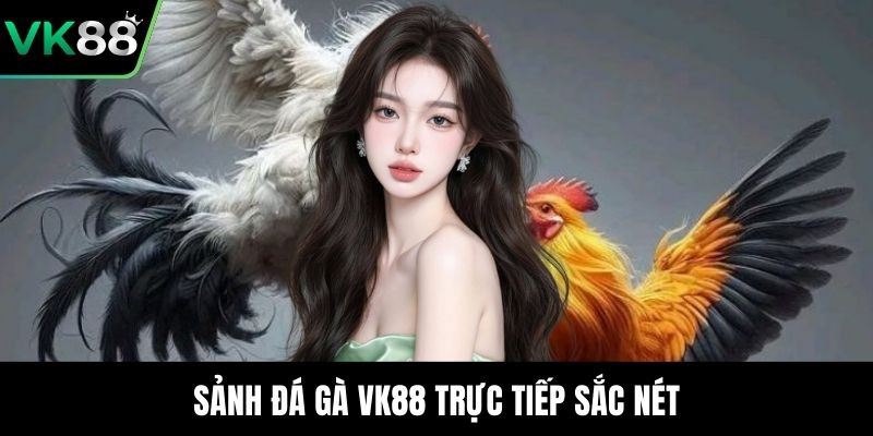 Sảnh đá gà VK88 trực tiếp sắc nét