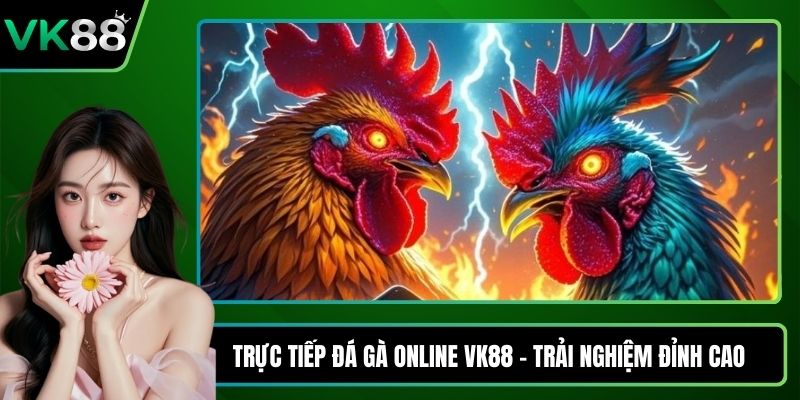 Trực tiếp đá gà online VK88