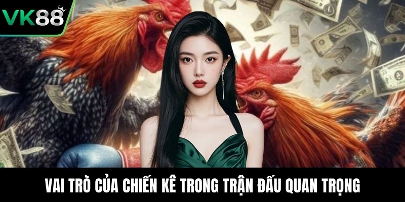 Vai trò của chiến kê trong trận đấu quan trọng